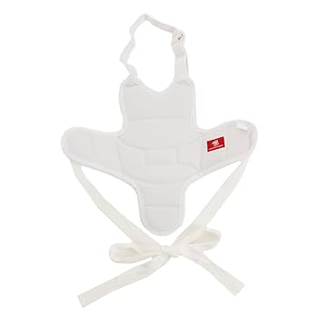 MIZUNO - まこち　空手防具 Amazon | MIZUNO(ミズノ) 空手 防具 プロテクター(胴用) メンズ